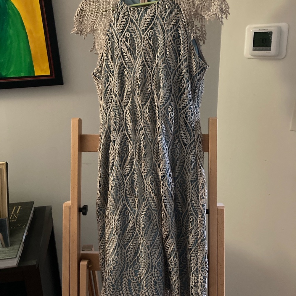 Elegant Lace Patterned Dress